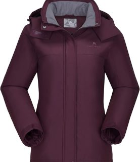 Women's Ski Jacket Winter Snow Coat Warm Fleece Mountain Waterproof Female Jacket Snowboarding jackets