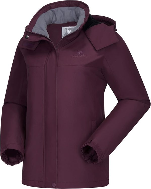 Women's Ski Jacket Winter Snow Coat Warm Fleece Mountain Waterproof Female Jacket Snowboarding jackets - Image 2